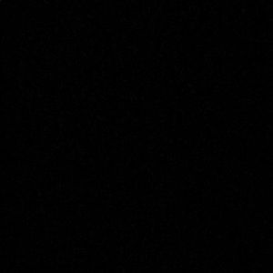 Meet your Posher, Randy